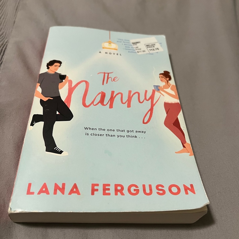 The nanny book